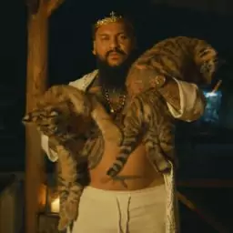 Dani Mocanu – Tigrul tau