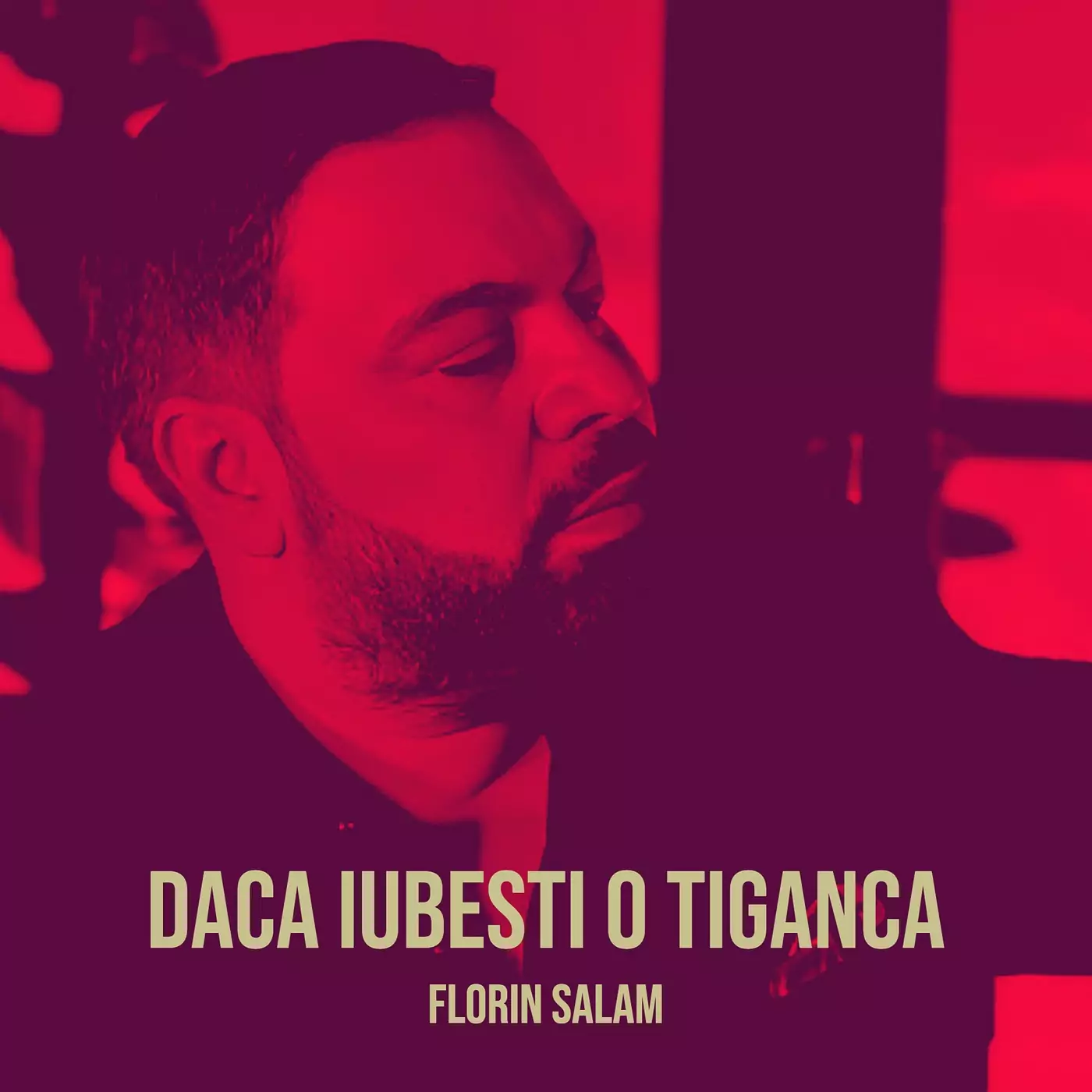 Daca iubesti o tiganca