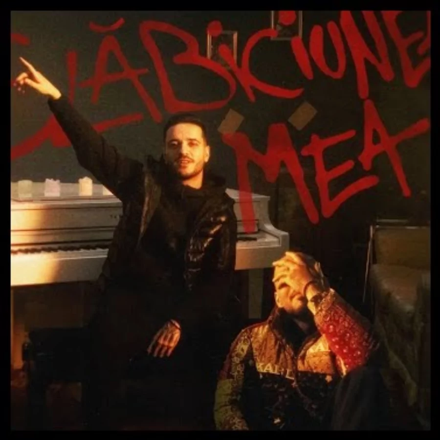 COMANN, Sami G SLABICIUNEA MEA